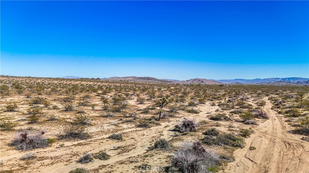 MLS #JT25078936 image #23