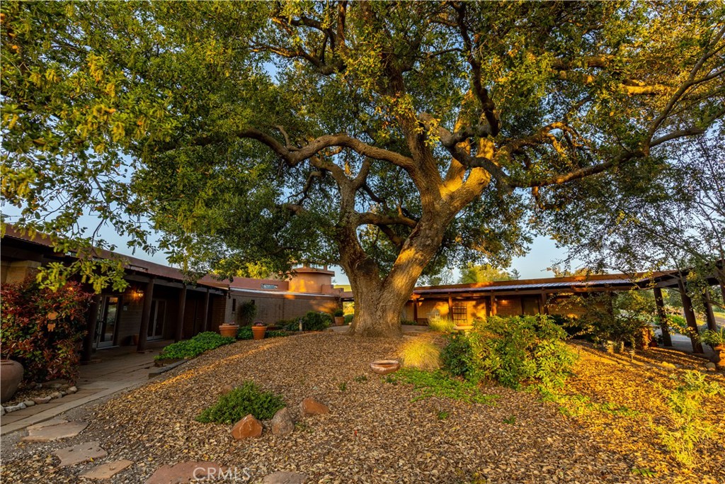 1600 Lupine Lane