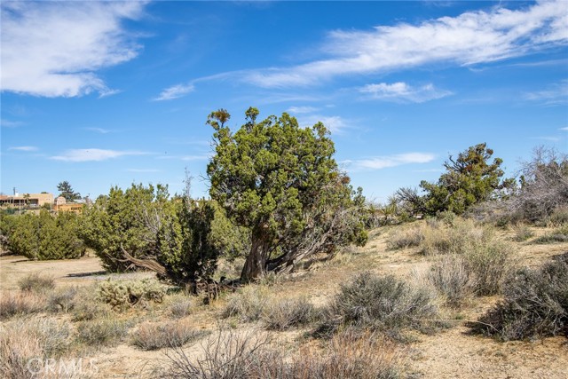 Detail Gallery Image 12 of 20 For 9486 Carmelita Cir, Yucca Valley,  CA 92284 - – Beds | – Baths