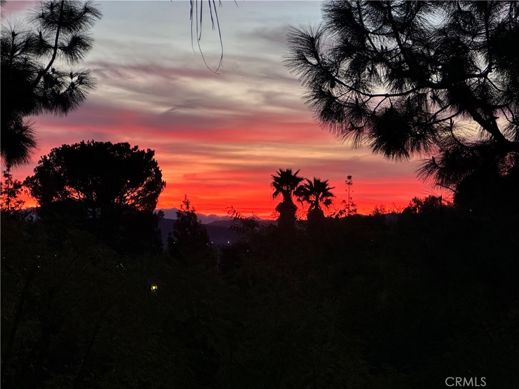 https://media.crmls.org/medias/49cc1b6f-5550-4ff1-839a-56ac3c2c954e.jpg?preset=X-Large