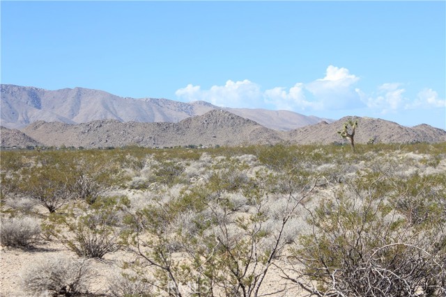 Detail Gallery Image 43 of 71 For 769 Meridian Rd, Lucerne Valley,  CA 92356 - – Beds | – Baths