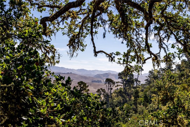 1420 Spencer Street, Cambria CA: https://media.crmls.org/medias/49cf69ec-467c-4df0-8f9c-bf682e2b9007.jpg