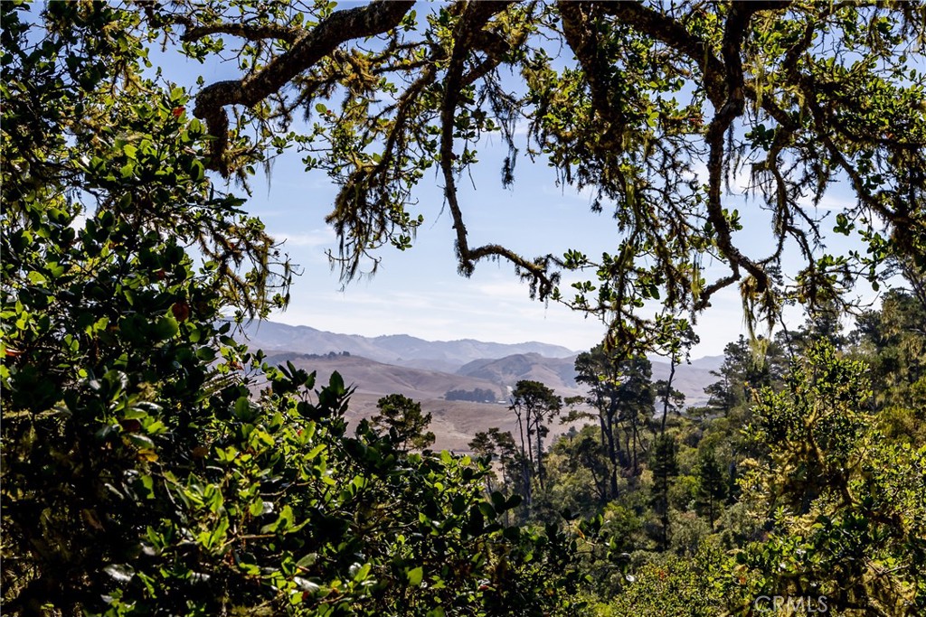 https://media.crmls.org/medias/49cf69ec-467c-4df0-8f9c-bf682e2b9007.jpg?preset=X-Large