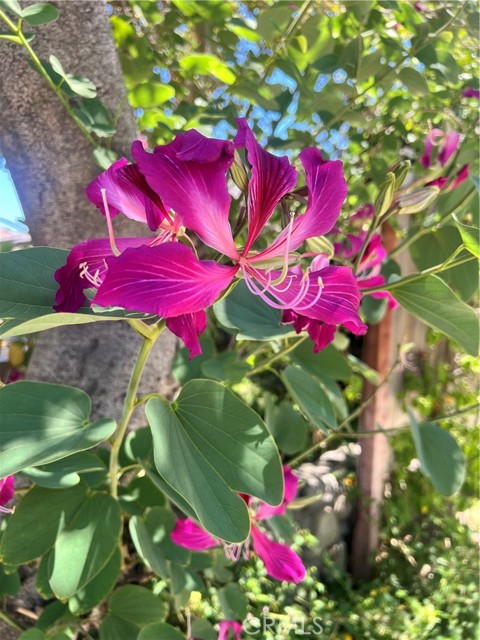 Detail Gallery Image 19 of 20 For 614 E I St #B,  Ontario,  CA 91764 - 1 Beds | 1 Baths