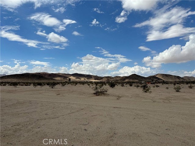 3925 Los Olivos Avenue, Twentynine Palms, California 92277, ,Land,For Sale,3925 Los Olivos Avenue,CRJT23164886