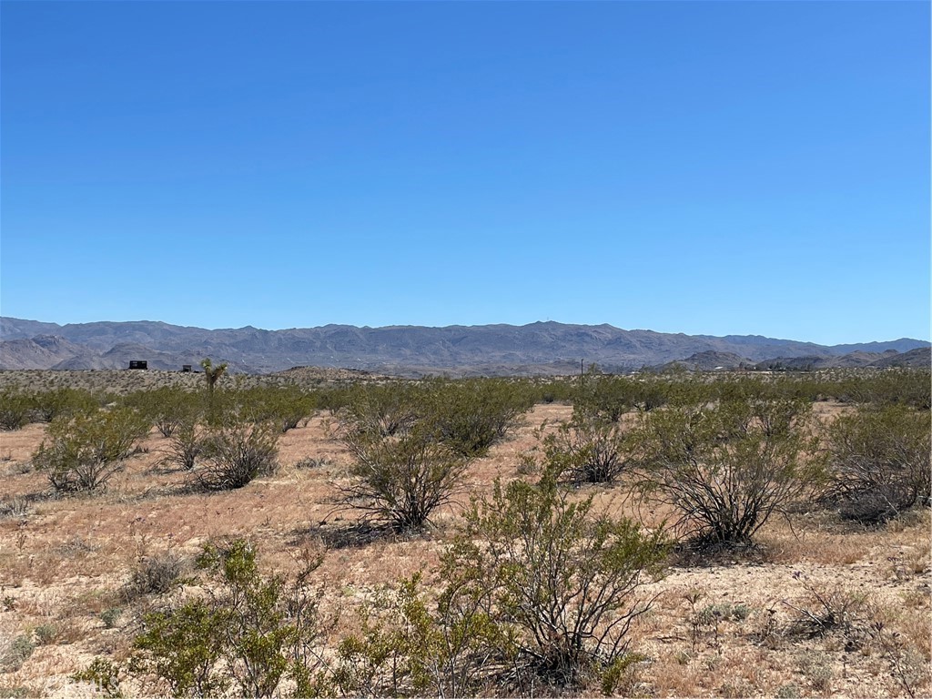 MLS #JT24091345 image #2