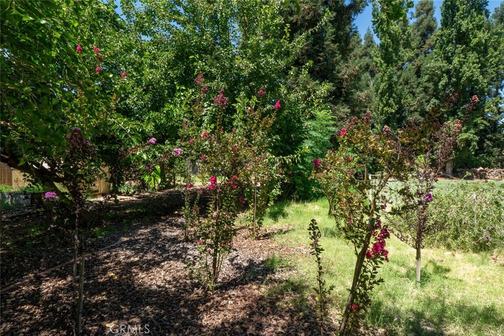 MLS #FR25181477 img 50