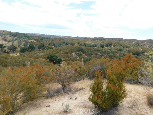 Detail Gallery Image 3 of 44 For 9890 Huer Huero Rd, Creston,  CA 93432 - – Beds | – Baths