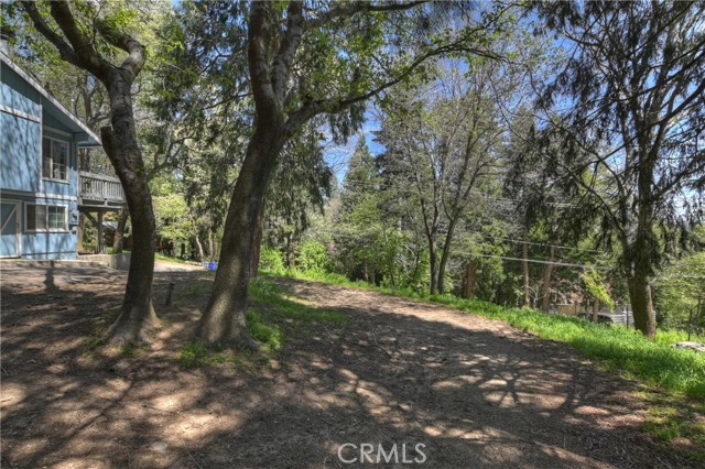 22365 Pine Drive, Cedarpines Park CA: https://media.crmls.org/medias/49e105e5-845b-4ee1-a460-70a7743aeee2.jpg