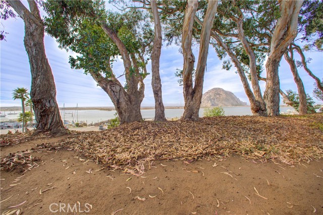 Detail Gallery Image 33 of 51 For 209 Dunes Street #6,  Morro Bay,  CA 93442 - 2 Beds | 2 Baths