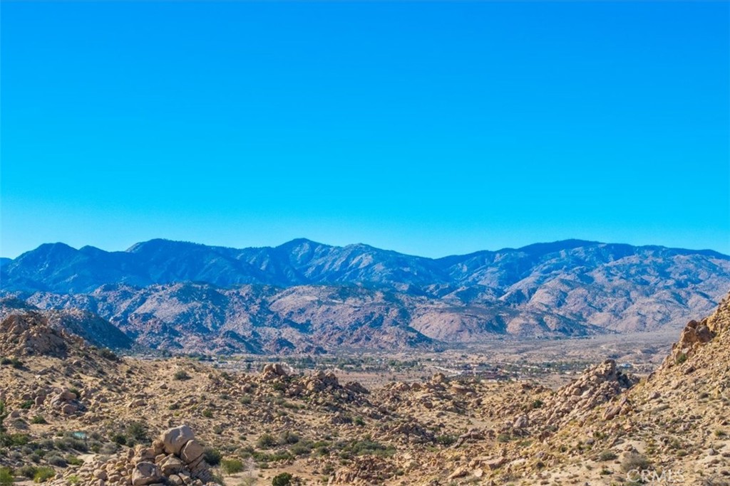 MLS #JT25250010 image #44