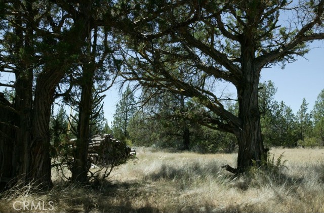 Detail Gallery Image 8 of 12 For 0 99xx Big Springs Rd, Montague,  CA 96064 - 4 Beds | 5 Baths