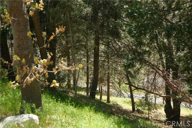 0 Thunderbird Drive, Lake Arrowhead CA: https://media.crmls.org/medias/49eceda9-4b20-4507-b1cd-f1e0d8cfb03f.jpg