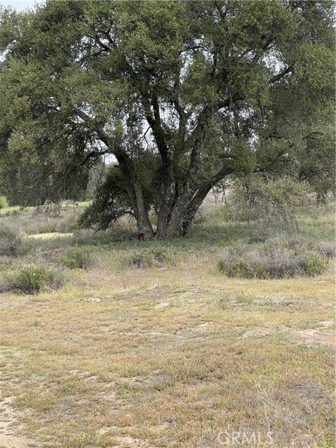 Detail Gallery Image 7 of 8 For 41 Melton Dr, Hemet,  CA 92544 - – Beds | – Baths