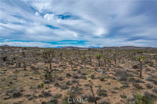 Detail Gallery Image 15 of 32 For 4824 Elata Ave, Yucca Valley,  CA 92284 - – Beds | – Baths