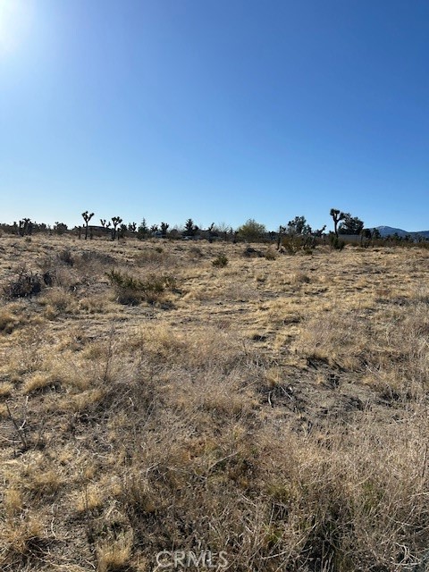 MLS #HD25051077 image #4