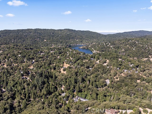 Detail Gallery Image 51 of 54 For 24834 Edelweiss Dr, Crestline,  CA 92325 - 2 Beds | 2 Baths