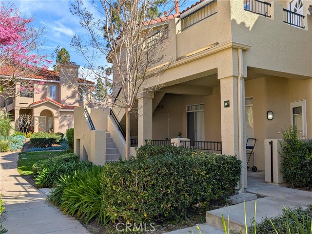 Front Image Thumbnail for CROC26049002