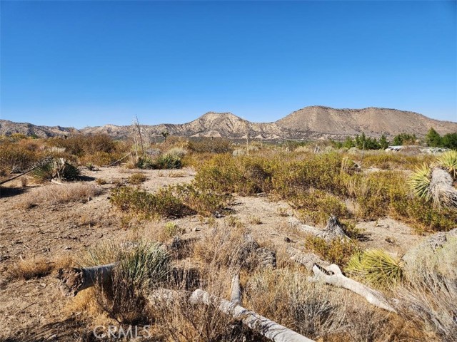 113 Stuveling, Phelan CA: https://media.crmls.org/medias/4a09efb9-062d-48df-b772-f4fb526fe16b.jpg