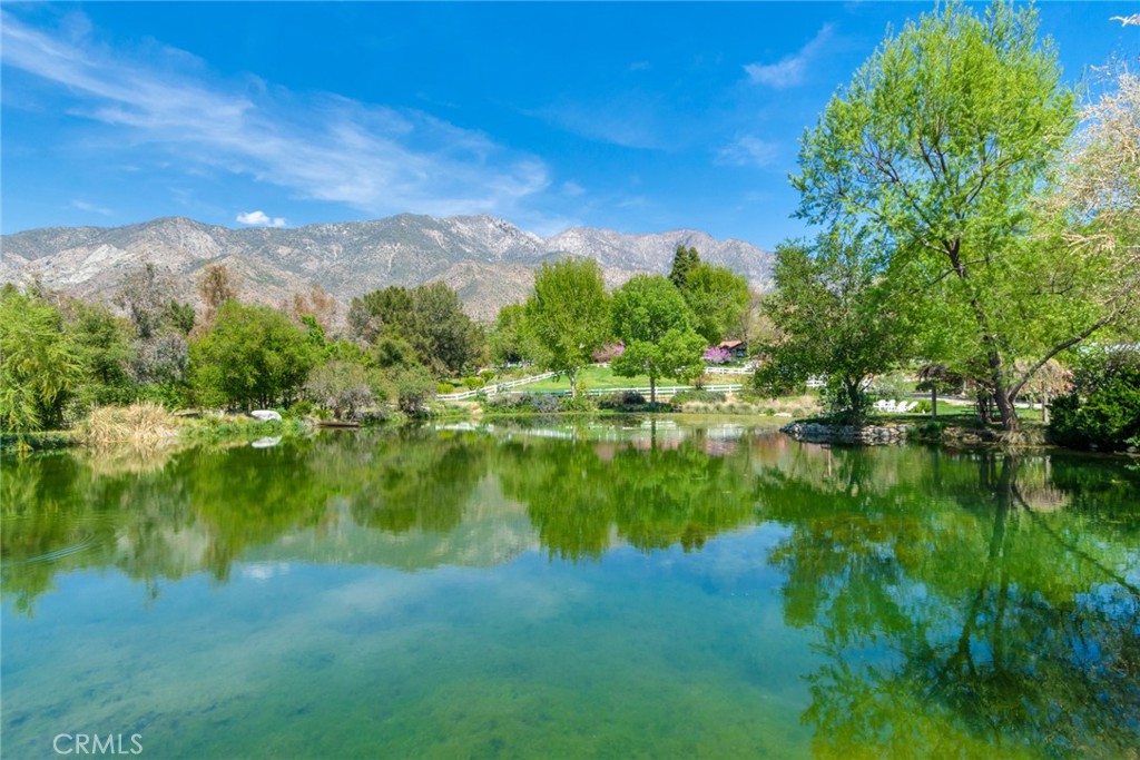 https://media.crmls.org/medias/4a0d6060-ba5d-4166-963b-a131148f4b4b.jpg?preset=X-Large