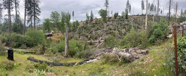 Front Image Thumbnail for CRLC26075834