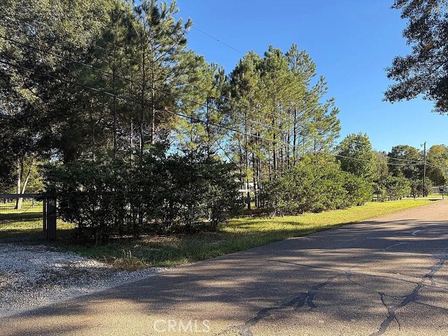 Detail Gallery Image 11 of 13 For 26430 Clyde Blount Rd, –,  LA 70754 - – Beds | – Baths