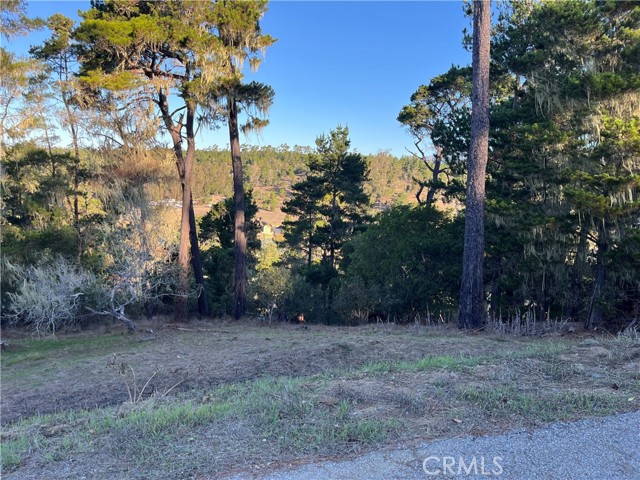 Detail Gallery Image 6 of 13 For 3235 Rogers, Cambria,  CA 93428 - – Beds | – Baths