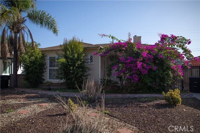 Front Image Thumbnail for CRDW25268256