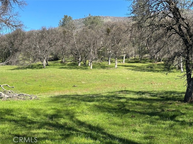 Detail Gallery Image 23 of 32 For 471 Ac - Hwy 49n, Mariposa,  CA 95338 - – Beds | – Baths