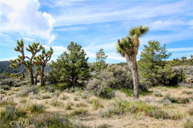 Detail Gallery Image 9 of 33 For 27 Vista Rd, Pioneertown,  CA 92356 - – Beds | – Baths