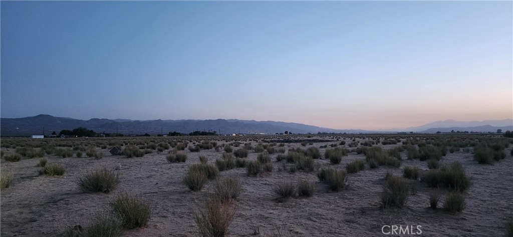 MLS #JT25139069 image #1