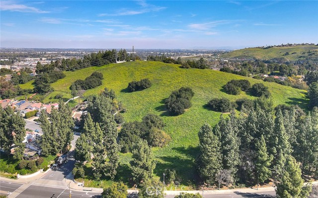 Image 64 of 71 For 8 Tanglewood