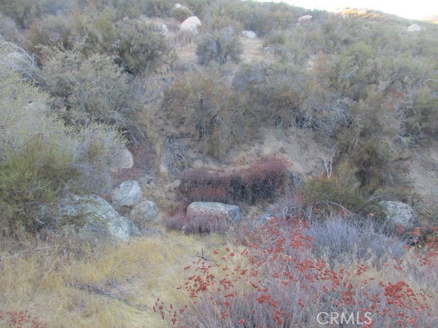 Detail Gallery Image 10 of 10 For 923 Wildlife Trail, Aguanga,  CA 92536 - – Beds | – Baths