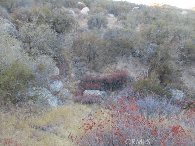 923 Wildlife Trail