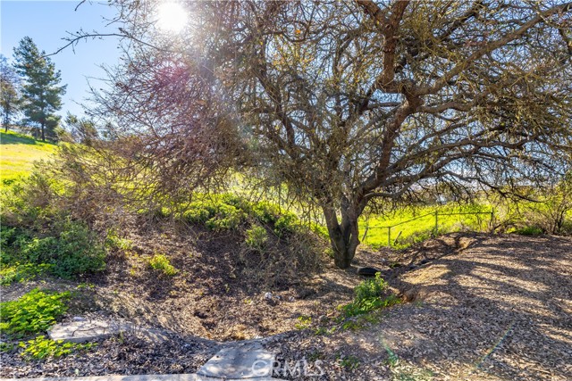 Detail Gallery Image 36 of 42 For 7260 Shale Rock, Paso Robles,  CA 93446 - 3 Beds | 2 Baths