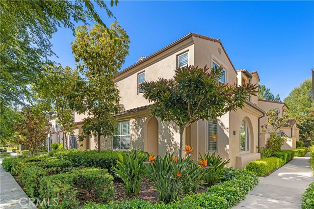 65 Tallowood