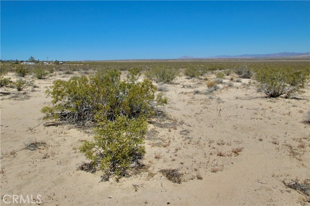 Detail Gallery Image 3 of 9 For 0 Mesquite Springs Rd, Twentynine Palms,  CA 92278 - – Beds | – Baths