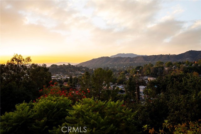 Detail Gallery Image 56 of 57 For 1321 Wildwood Dr, Los Angeles,  CA 90041 - 3 Beds | 2 Baths