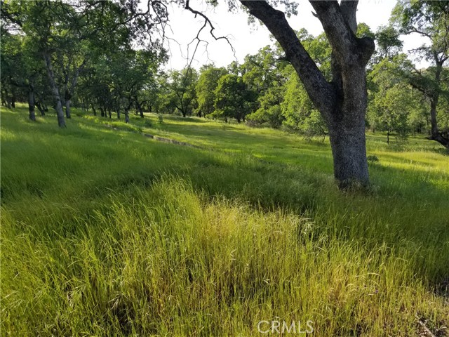 0 Whitney Court, Oroville, California 95966, ,Land,For Sale,0 Whitney Court,CROR21163755