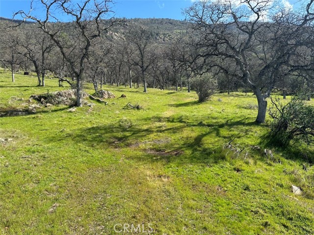 Detail Gallery Image 31 of 32 For 471 Ac - Hwy 49n, Mariposa,  CA 95338 - – Beds | – Baths