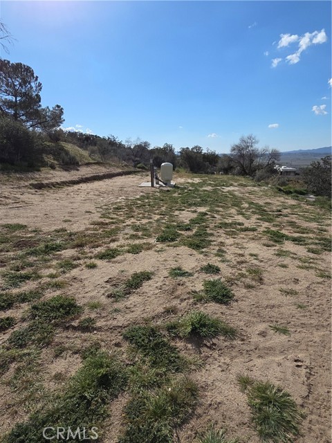 Detail Gallery Image 11 of 24 For 59995 Granite Gulley, Anza,  CA 92539 - 2 Beds | 2 Baths