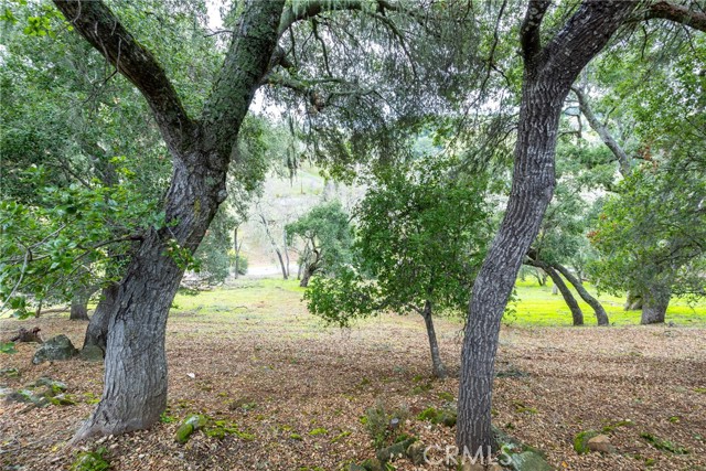 Detail Gallery Image 56 of 61 For 7105 Rayar Rd, Atascadero,  CA 93422 - 4 Beds | 2/1 Baths