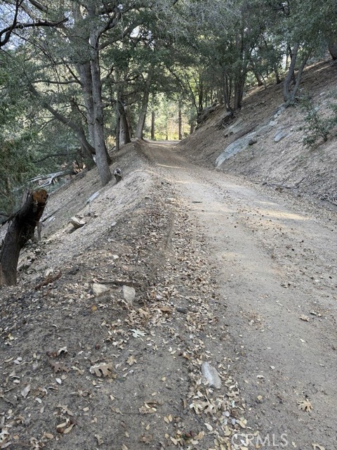 Detail Gallery Image 10 of 16 For 0 Mojave River Rd, Cedarpines Park,  CA 92322 - – Beds | – Baths