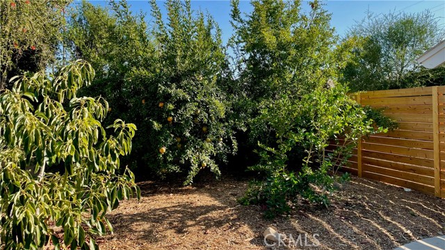 Citrus, avocado, peach, macadamia trees
