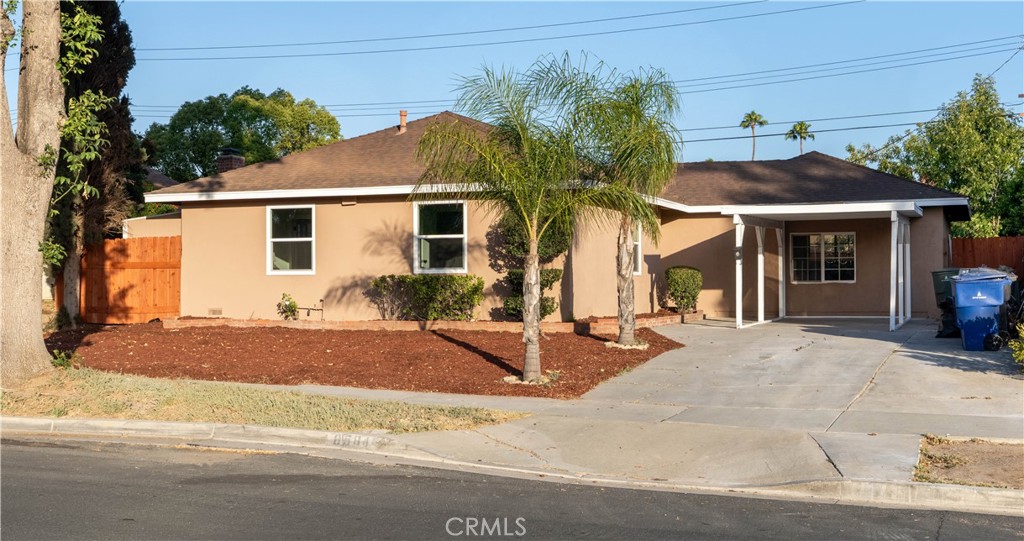 8584 Camelia