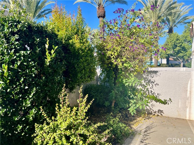 Detail Gallery Image 6 of 38 For 29581 Cara Way, Temecula,  CA 92591 - 2 Beds | 2/1 Baths