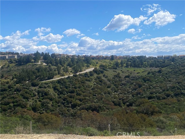 Front Image Thumbnail for CRSR26016392