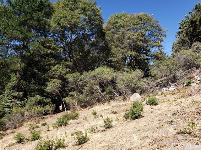 Detail Gallery Image 11 of 27 For 25134 Grandview Dr, Crestline,  CA 92325 - – Beds | – Baths