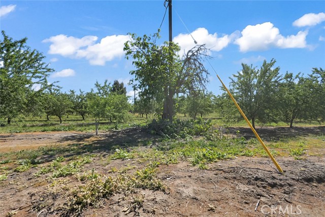 Detail Gallery Image 5 of 20 For 0 Buchanan Hollow Rd, Le Grand,  CA 95333 - – Beds | – Baths