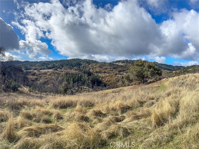 6040 Big John Road, Willits CA: https://media.crmls.org/medias/4a81769e-8fc5-4226-b7a7-12c665bacd6d.jpg